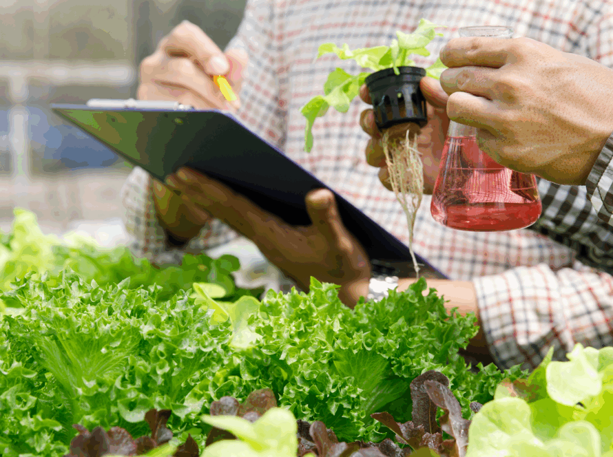 topraksiz-tarim-akademisi-sürdürülebilirlik
